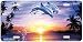 Leap of Faith II - Dolphin Art Print - License Plate Car Tag By Christian Riese Lassen From Airstrike