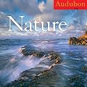Audubon Nature Calendar 2010