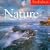 Audubon Nature Calendar 2010