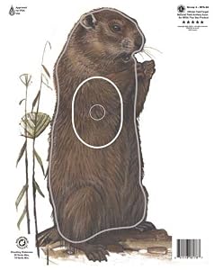 Amazon.com : Maple Leaf NFAA Animal Faces Group 4 Woodchuck : Archery ...