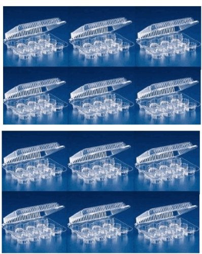 12 Plastic Cupcake Boxes - Holds 12 Cupcakes Each