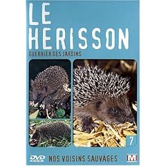 Nos voisins sauvages : Le h�risson : Guerrier des jardins