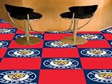 Florida Panthers Team Carpet Tiles