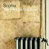 There Are No Goodbyes