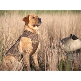 Click here to buy Avery Standard Dog Parka - KillerWeed Color.
