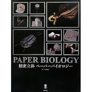 精密立体 ペーパーバイオロジー (飛鳥新社ポピュラーサイエンス) [大型本]