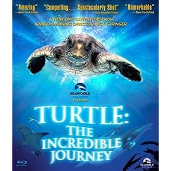 Turtle: The Incredible Journey [Blu-ray]