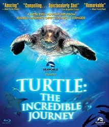 Turtle: The Incredible Journey [Blu-ray]