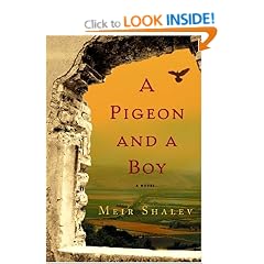 A Pigeon and a Boy: A Novel