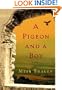A Pigeon and a Boy: A Novel