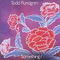 Something / Anything