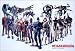 Metal Gear Solid 4 horiz POSTER 34 x 23.5 with cha
