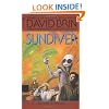 Sundiver
