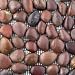Solistone Anatolia Tile Pebbles Mesh Mounted Tiles Agate 5014S Stone Tile