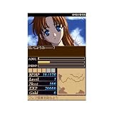 「イースII DS」の関連画像