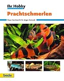 Prachtschmerlen, Ihr Hobby