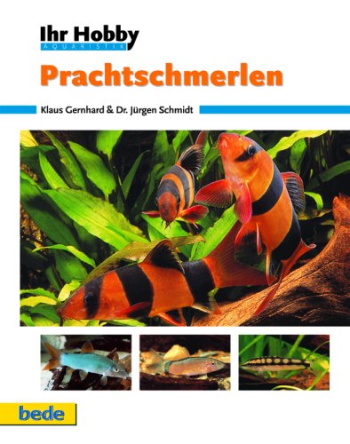 Gernhard