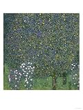 Rose Bushes Under Trees, c.1905 Giclee Poster Print by Gustav Klimt, 42x56 51Kj2xitJSL. SL160 Rose Bushes Under Trees, c.1905 Giclee Poster Print by Gustav Klimt, 42x56