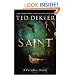 Saint: A Paradise Novel (The Books of History Chronicles)