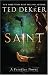 Saint: A Paradise Novel (The Books of History Chronicles)