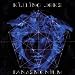 My fav bands best albums