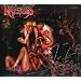 Blood Delerium