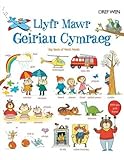 Llyfr mawr geiriau Cymraeg