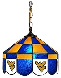 West Virginia Mountaineers WVU 4-Light Pool Light Lamp