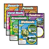 TREND Wipe-Off Sentence Strips