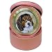 Limited Edition Violano Jewelry Case Travel Alarm Clock Beagle Dog