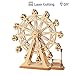 ROBOTIME 3D Ferris Wheel Wooden Jigsaws Kit Wooden Puzzles DIY Hand Craft Mechanical Toy Gift for Kids Teens Adults