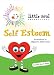 Self Esteem - Activities to Empower Little Souls- A DVD for Conscious Parents By Litt...