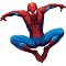 Spider Man Home Decor