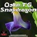 Snapdragon (Original Raw Mix)