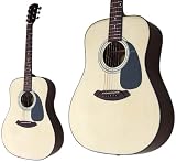 Fender Acoustics CD-60 NAT