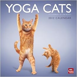 Yoga Cats & Yoga Kittens 2012 Square 12X12 Wall Calendar (Multilingual