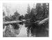 Historic Print (S): [Reflection of trees and mountains in lake, Yosemite National Par...