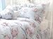 Shabby Chic Pretty Blue Roses Cotton 4pc Bedding Sheet Set