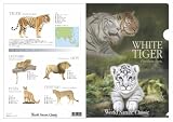 WNC動物　ホワイトタイガークリアファイル