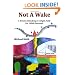Not A Wake: A dream embodying (pi)'s digits fully for 10000 decimals