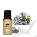 Devinez Rosemary Essential Oil, 100% Pure, Natural & Undiluted, 30ml in Glass Bottle RS.349.00