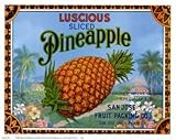 IMAGE OF Luscious Pineapple FINEST BRAND CANVAS Print With Added Heavy BRUSHSTROKES Miles Graff 16x13