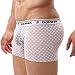 Dominik Men's Sheer Mesh See-Through Boxer Trunks