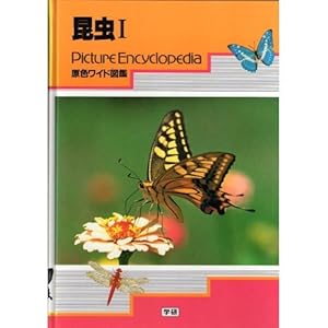 ���F���C�h�}�Ӂ\Picture encyclopedia (����1)