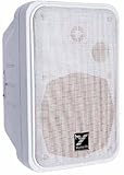 Yorkville C120 100W Passive Speaker with 5