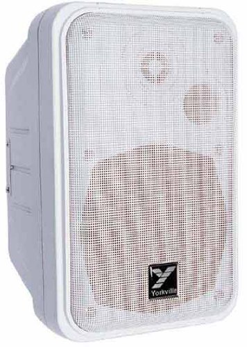 Yorkville C120 100W Passive Speaker with 5