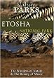 Nature Parks  ETOSHA Namibia