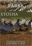Nature Parks ETOSHA Namibia