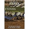 Nature Parks  ETOSHA Namibia