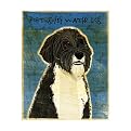 Portuguese Water Dog Print by John W. Golden - 12x15